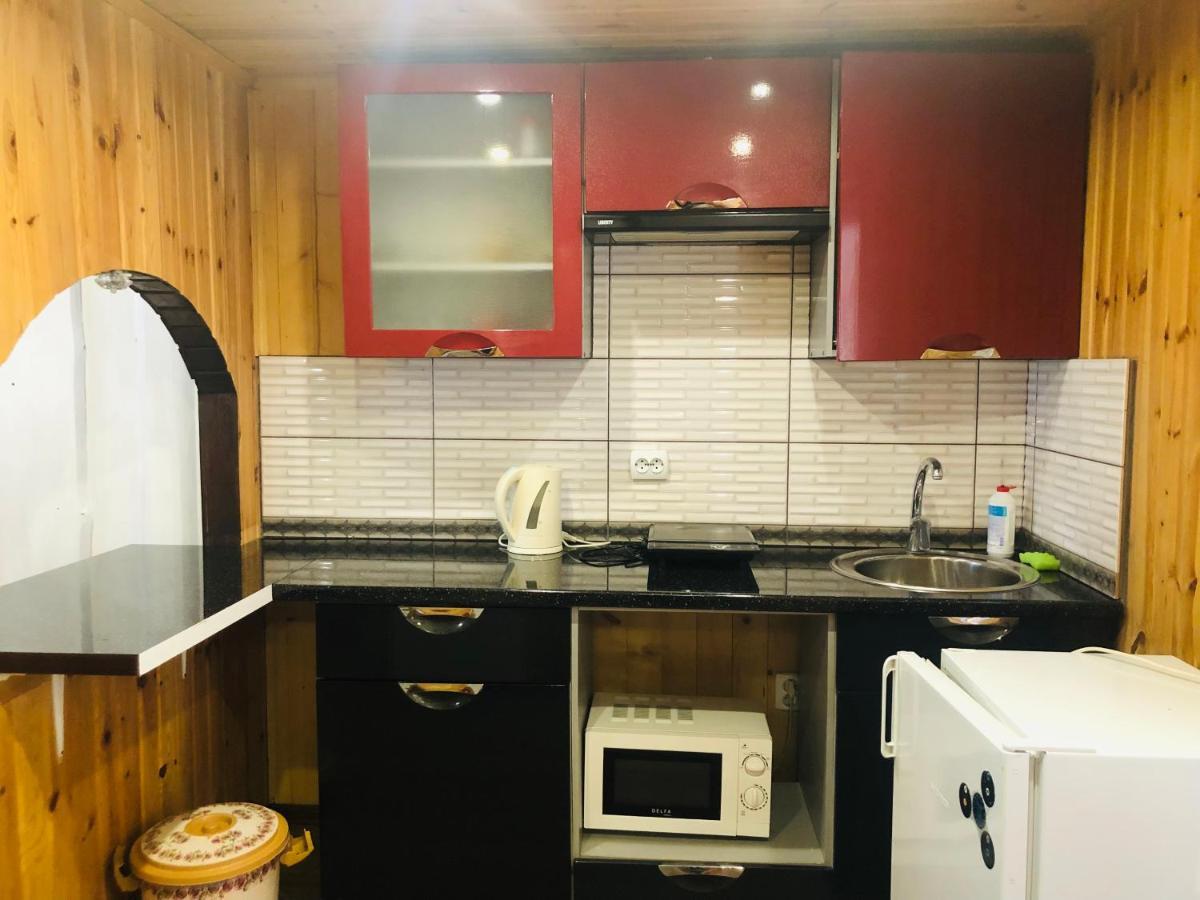 У Віти Номер 4 Apartment Synevyrsʼka Polyana Екстериор снимка